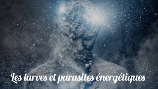 Les larves et parasites énergétiques comment les repérer comment sen prévenir [upl. by Pablo384]