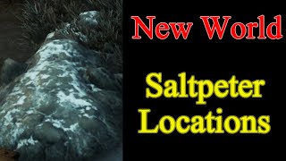 New World Saltpeter best locations  How to find Salt Peter and Easy Farming Spot [upl. by Ahsieni435]