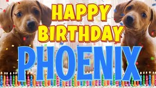 Happy Birthday Phoenix  Funny Talking Dogs  What Is Free On My Birthday [upl. by Ma]