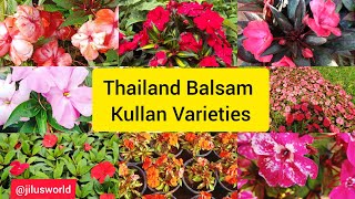 Thailand Balsam Kullan VarietySpecial Combo Offer 🌸🌼🌼🌸 [upl. by Alyce]