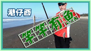 【灘釣沙梭097】202414港仔西竿竿咬吃外溝Surfcasting キス投のげ釣り sillaginidae 花身雞魚 沙鮻 kisu [upl. by Eenehs]