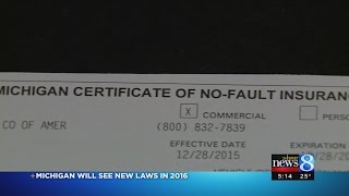 4 new Michigan laws to take effect in 2016 [upl. by Ardnalak911]