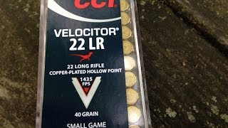 22LR CCI Velocitor  0047 40gr CPHP Velocity Test 5quot Barrel [upl. by Bonney65]