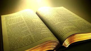 Bible Book Background Free Video [upl. by Aikit855]