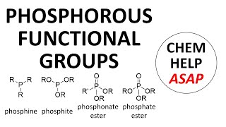 organophosphorous functional groups [upl. by Arnulfo]