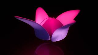 Blooming Flower 3D Animation [upl. by Haeel79]