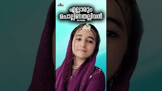 Ellarum Chollanathallivan Riya Fathima Malayalam Film Song Mashup Cover Superhits Movie Songs [upl. by Kevyn]