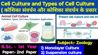 Cell Culture Monolayer culture and Suspension culture Types of cell culture Happybiologyclass [upl. by Mor288]