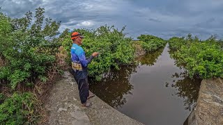 pescando y explorando un hermoso lugar de Pesca Con Anzuelo y lombriz [upl. by Edin632]