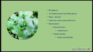 Structure of Marchantia  PVij ayakanth Assistant Professor  Department of Botany [upl. by Harima]