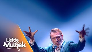 DAAN  ‘Metejoor’  Liefde voor Muziek  seizoen 9  VTM [upl. by Chisholm647]