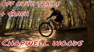 Chopwell woods mountain biking off piste trails Big group ride [upl. by Selegna]