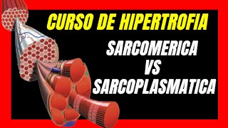 🧬 HIPERTROFIA SARCOMERICA Y SARCOPLASMATICA  Curso Hipertrofia 4 [upl. by Wiese639]