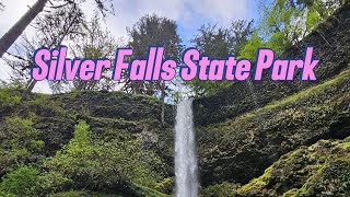 The incredible beauty of Silver Falls State Park hiking nature video [upl. by Spanjian]