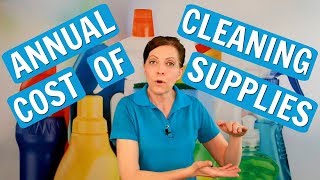 What is the Annual Cost for Cleaning Supplies [upl. by Marquez275]