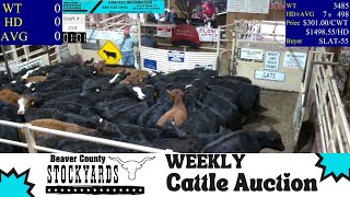 122024  Beaver County Stockyards Livestock Auction [upl. by Milton]