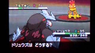 ポケモンブラックホワイト vs四天王ギーマ強化 Pokemon Black White Rematch Elite Four Grimsley [upl. by Phelgon638]