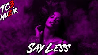 FREE Best RnB Melodic Type Beats 2024  quotSay Lessquot [upl. by Bolt]