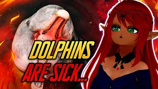 DOLPHINS GOT ISSUES  Casual Geographic Reaction [upl. by Einnov]