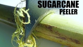 Peeling Sugarcane to perfection [upl. by Alie]