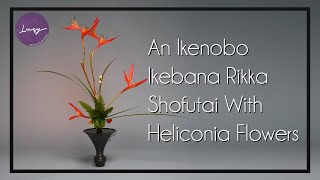 Ikebana Rikka Shofutai 2 An Ikenobo Ikebana Rikka Shofutai With Heliconia Flowers [upl. by Fiel]