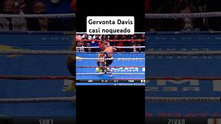 Gervonta Davis vs Pitbull Cruz boxing boxeo boxeomexicano gervontadavis pitbullcruz [upl. by Elyrehc]