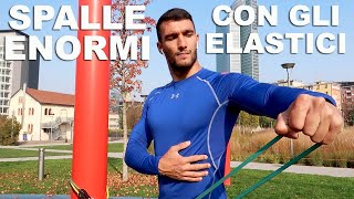 ALLENAMENTO SPALLE CON ELASTICO DELTOIDI GIGANTI CON LE LOOP BAND COME SVILUPPARE DELTOIDI ENORMI [upl. by Pegg51]