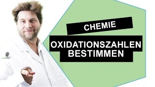 Oxidationszahlen bestimmen mit Beispielen  Chemie 2020  Scienceguru Dr Mark Richter chemielernen [upl. by Nastassia421]