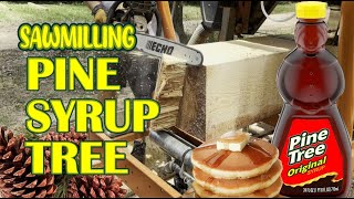 Sawmilling The Worlds Sappiest Pine [upl. by Anotyad272]