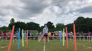 6th grade field day at Elmore Park [upl. by Einned]