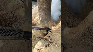 Thermal Fogging Machine All Insects Came Out [upl. by Leonardi]