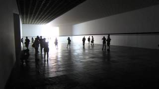 Robert Irwin Scrim veil—Black rectangle—Natural light [upl. by Aivatnohs]