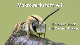 MakrowerkstattTutorial 1 Stacken mit Zerene [upl. by Ahsienek]