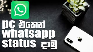 How to set whatsapp status from pc  Sri Lankan Techno [upl. by Yeuh]