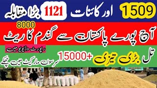 Munji Ka rate 1121 rate til rate today wheat price today in Pakistan sarso rate today 1509 rate [upl. by Spatz]