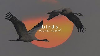 imagine dragons  birds slowed  reverb [upl. by Flavian658]