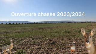 Ouverture chasse petit gibier  Saison 20232024 Objectif Fish [upl. by Blayze]