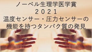 【ノーベル医学生理学賞２０２１】温度センサー・圧力センサーの機能を持つタンパク質の発見 [upl. by Aihseyt352]