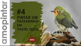 Pintar Um Passarinho em Pastel Seco4 [upl. by Pevzner]