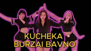 NOVO KUCHEK 2024 KUCHEKA BURZAI BAVNO HIT [upl. by Olbap721]