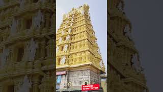 Chamundeswari Temple Mysore shortvideo shorts temples [upl. by Navinod]