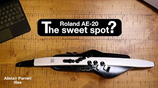 Roland Aerophone AE20 The review [upl. by Adaline46]