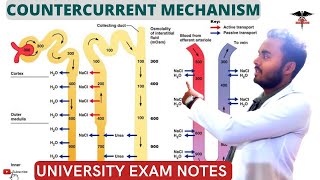 Countercurrent Mechanism  Countercurrent Multiplier  Countercurrent Exchanger Symstem [upl. by Annoerb]