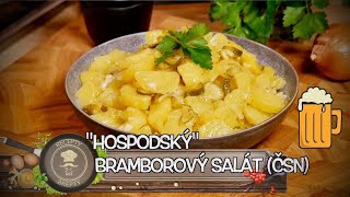 JEDNODUCHÝ HOSPODSKÝ BRAMBOROVÝ SALÁT ČSN [upl. by Noraa578]