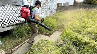 I almost GAVE UP after spending 18 HOURS cleaning up this lawn [upl. by Inoy81]