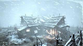 10 HOURS of WIND SOUNDS for SLEEP  Howling Snowstorm Blizzard [upl. by Hjerpe]