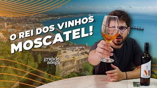 Moscatel de Setúbal provamos o Rei dos Vinhos Moscatel 😱 [upl. by Miksen368]