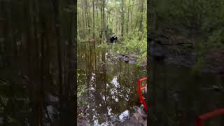 Shit Show Swamping mowing landclearing tractorlover tractor florida pureflorida [upl. by Beker]