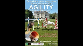 Grand Prix de France Agility 2024  Finale Standard SM [upl. by Ellebasi212]