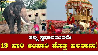 Dasara Elephant Balarama  Drona Elephant  ದ್ರೋಣ 18 ಬಾರಿ ಬಲರಾಮ 13 ಬಾರಿ ಅಂಬಾರಿ ಹೊತ್ತಿದ ಆನೆಗಳು [upl. by Perla744]